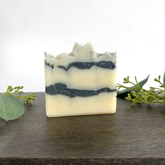 Black Onyx Charcoal & Oatmeal Soap - Detoxifying Vegan Bar with Masculine Scent